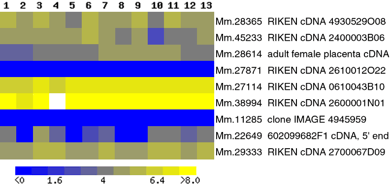 (24 K)