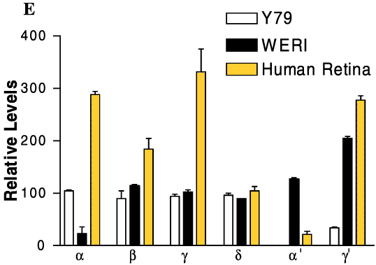 (12 K)