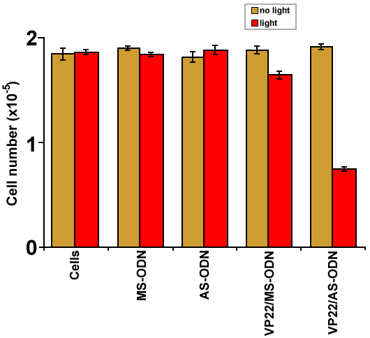 (12 K)