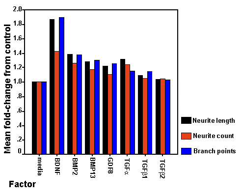 (10 K)