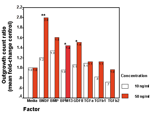 (10 K)