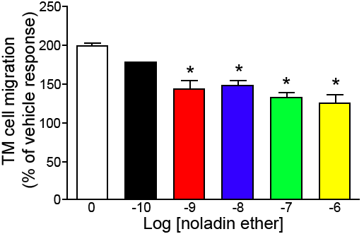 (10 K)