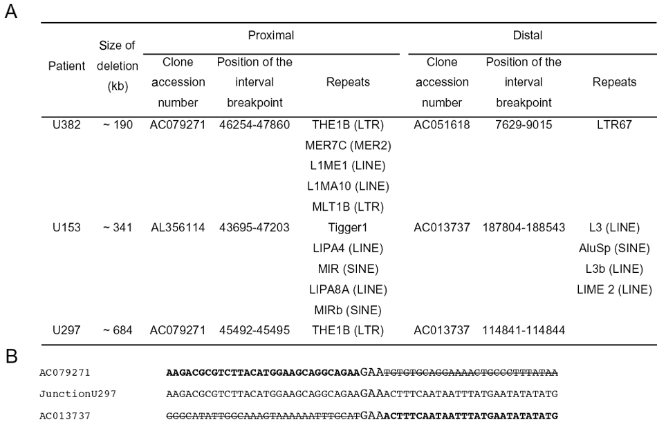 (71 K)