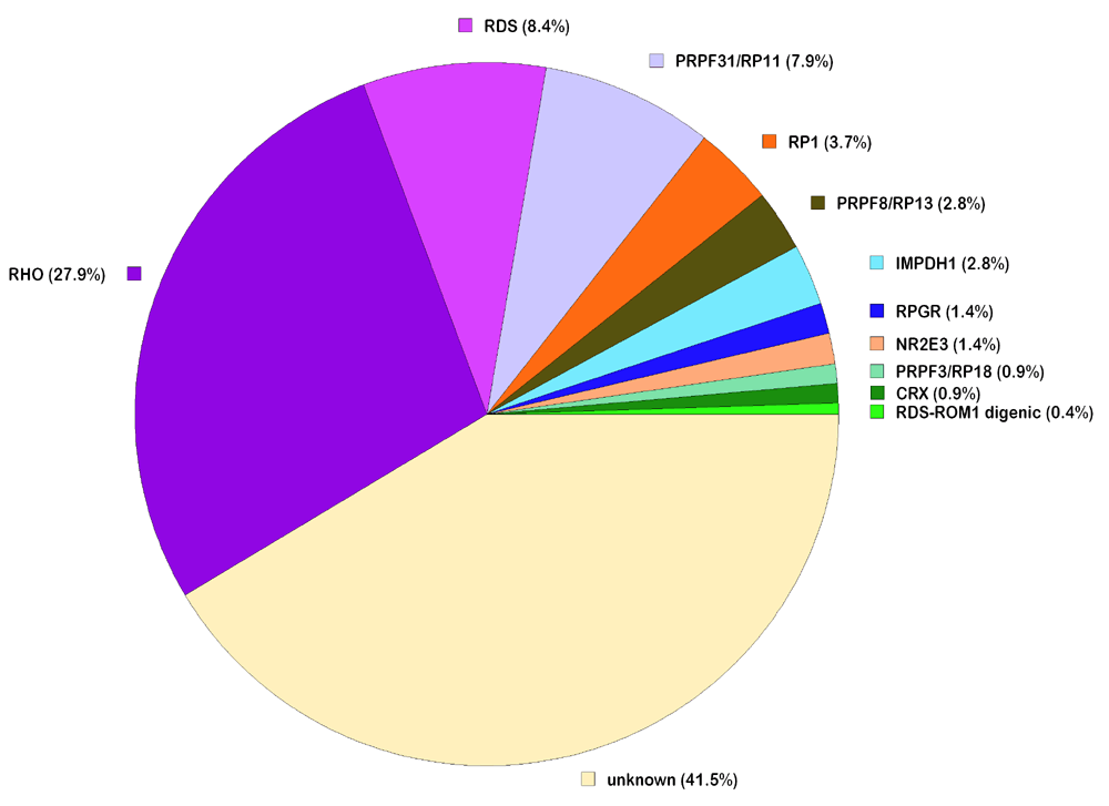 (34 K)