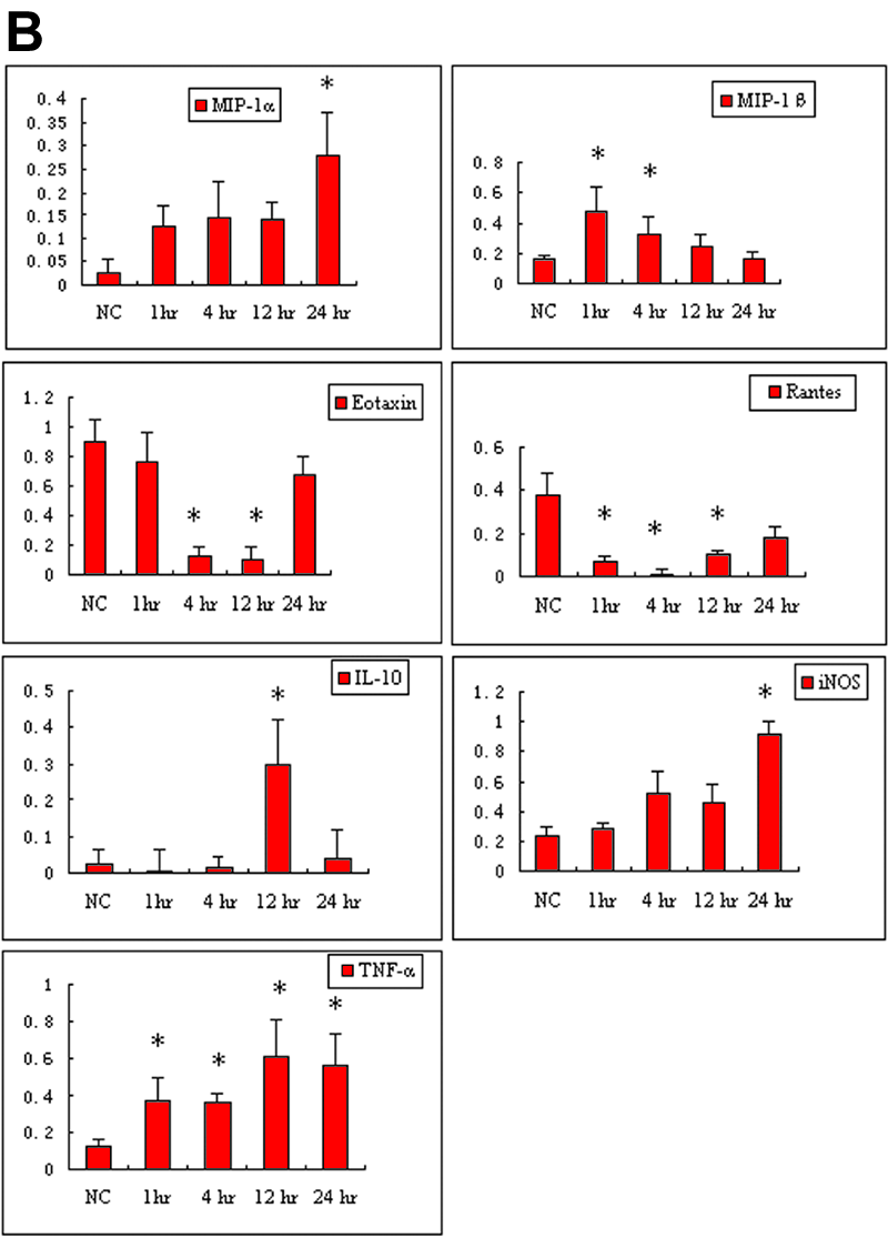 (77 K)