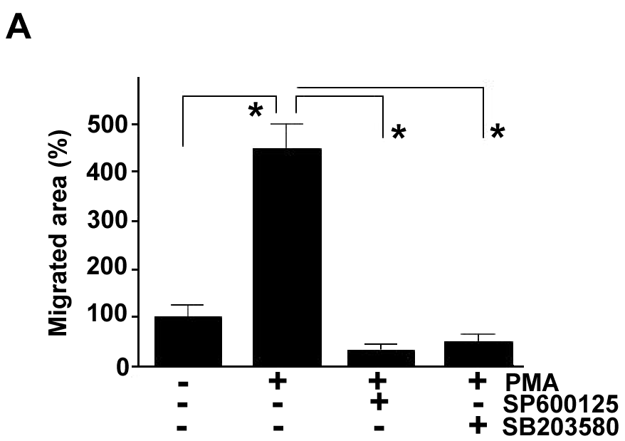 (17 K)