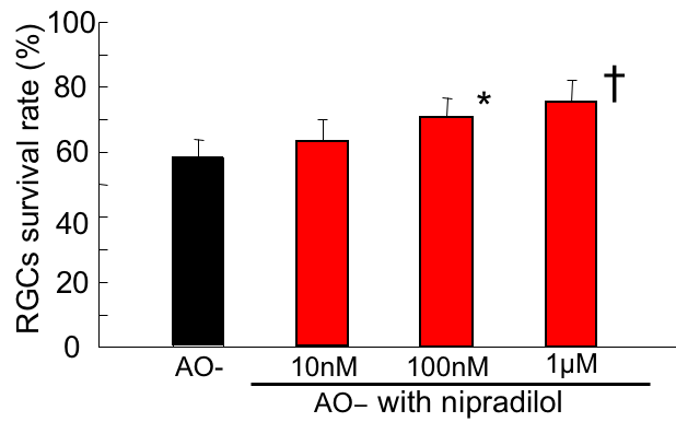 (14 K)