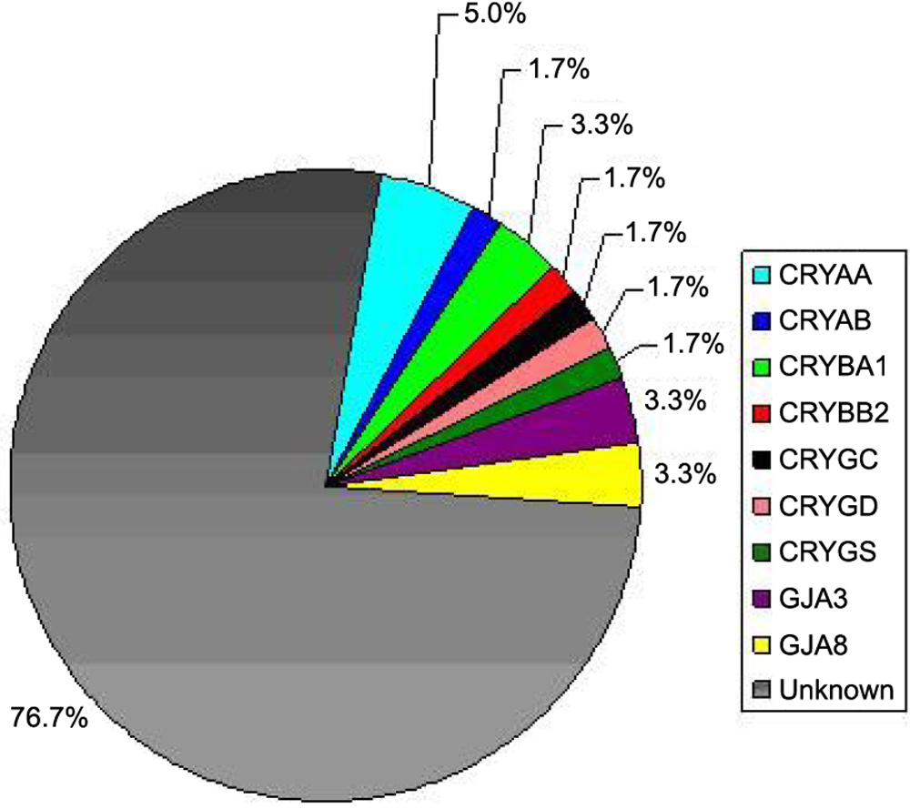 Pie Chart Of Population In India