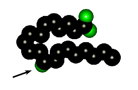 Model of 12 (R) HETE