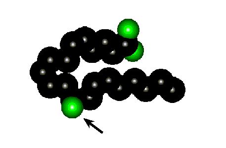 Model of 12 (S) HETE