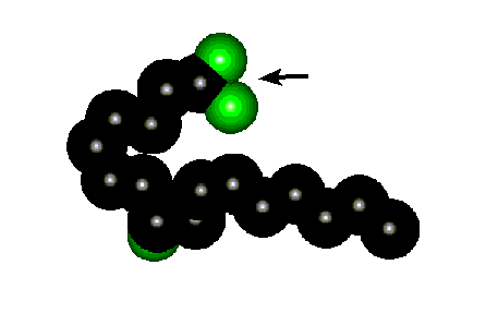 Model of 8 (R) HHDTrE