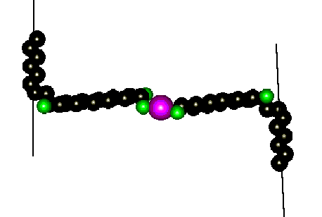 Model of Ca [12 (R) HETE]2