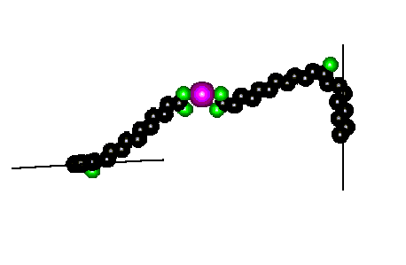 Model of Ca [12 (S) HETE]2
