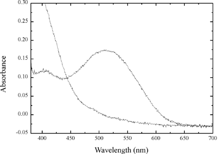 Absorbance spectrum of visual pigment extracted from a single salamander retina