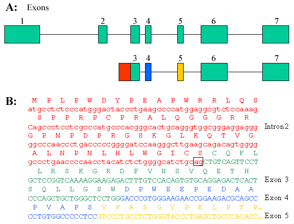 (13 K)