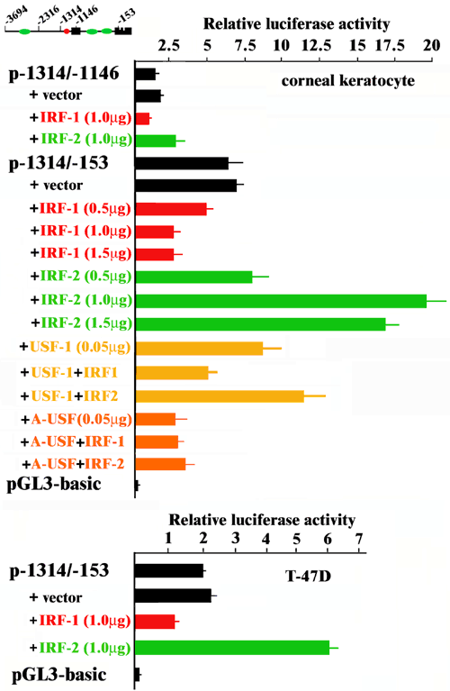 (38 K)