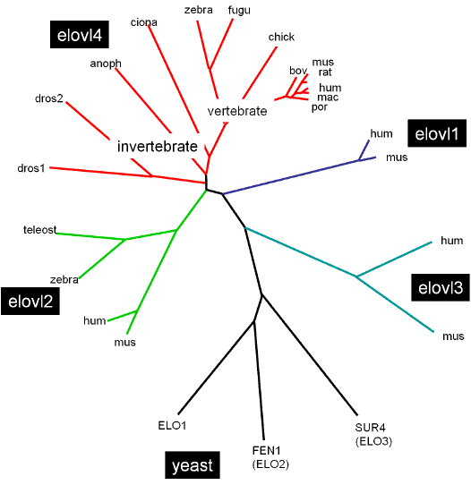 (13 K)